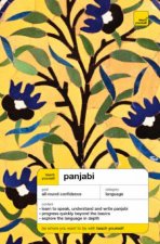 Teach Yourself Panjabi Book  Cd Pack