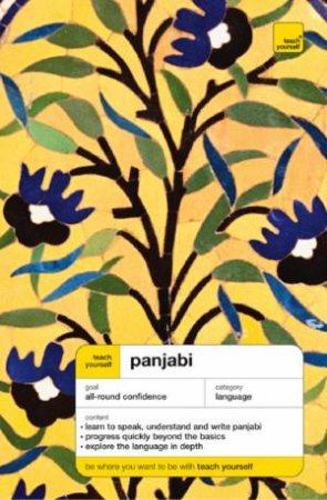 Teach Yourself:  Panjabi: Cd by Surjit Singh Kalra & N K Purewal