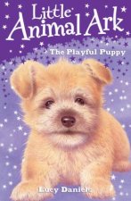 The Playful Puppy