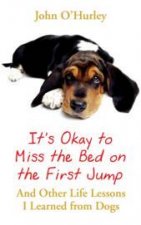 Its OK to Miss the Bed on the First Jump  And Other Life Lessons I Learned From Dogs