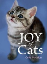Joy of Cats