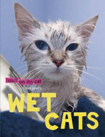 Wet Cats by Mario Garza