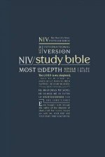 NIV Study Bible