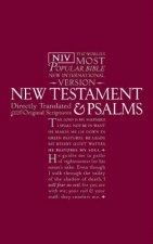 NIV New Testament and Psalms red PB