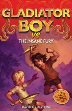 vs The Insane Fury
