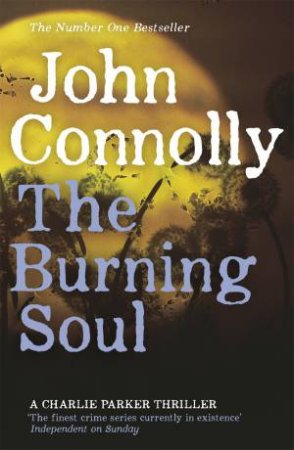 The Burning Soul by John Connolly