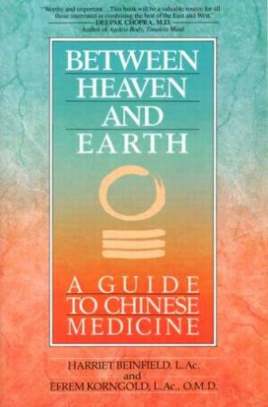 Between Heaven And Earth by Harriet Beinfield