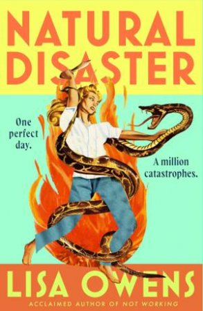 Natural Disaster by Lisa Owens