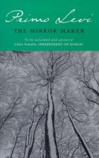 The Mirror Maker