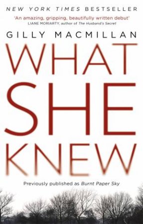 What She Knew by Gilly Macmillan