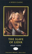 The Slave Of Lidir