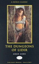Nexus The Dungeons Of Lidir