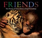 Friends True Stories Of Extraordinary Animal Friendships