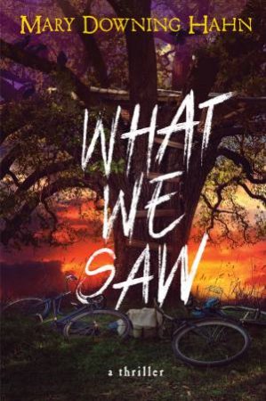 What We Saw by Mary Downing Hahn