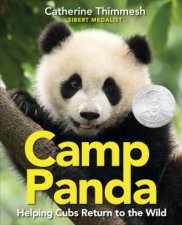 Camp Panda Helping Cubs Return To The Wild