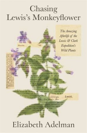 Chasing Lewis's Monkeyflower by Elizabeth Adelman