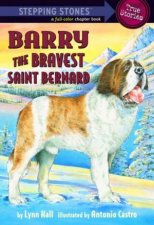 Stepping Stones Barry the Bravest Saint Bernard