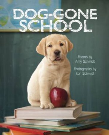 Dog-Gone School by Amy Schmidt