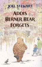 Addis Berner Bear Forgets