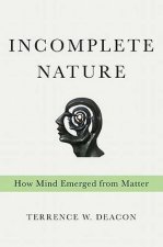 Incomplete Nature How Mind Emerged From Matter