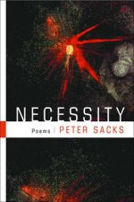Necessity Poems