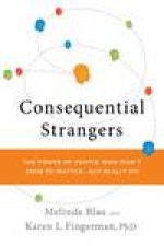 Consequential Strangers The Power of People Who Dont Seem to Matter But Really Do