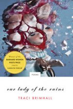 Our Lady of the Ruins Poems