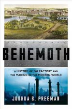 Behemoth A History Of The Factory And The Making Of The Modern World