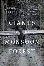 Giants Of The Monsoon Forest Living And Working With Elephants