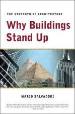 Why Buildings Stand Up The Strength Of Architecture