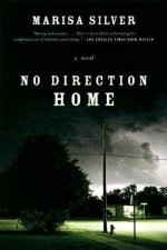 No Direction Home A Novel