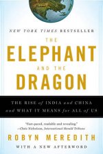 The Elephant And The Dragon The Rise Of India And China And What It Means For All Of Us
