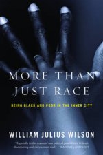 More Than Just Race Being Black and Poor in the Inner City