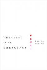 Thinking in an Emergency