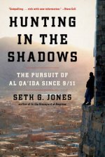 Hunting in the Shadows the Pursuit of Al Qaida Since 911