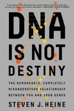 DNA Is Not Destiny The Remarkable Completely Misunderstood Relationship Between You And Your Genes