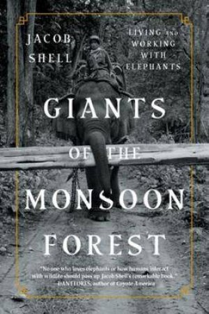 Giants Of The Monsoon Forest by Jacob Shell