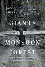 Giants Of The Monsoon Forest