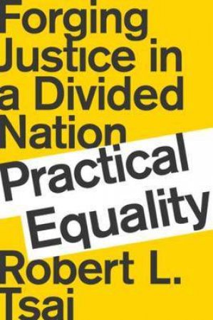 Practical Equality: Forging Justice In A Divided Nation by Robert Tsai