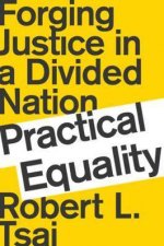 Practical Equality Forging Justice In A Divided Nation