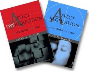 Affect Regulation and the Repair of the Self & Affect Dysregulation And Disorders Of The Self Two-Book Set by Allan N. Schore