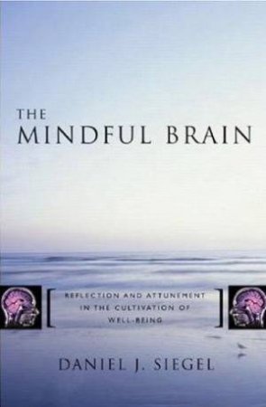The Mindful Brain by Daniel J Siegel