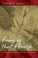 Families That Flourish Facilitating Resistance In Clinical Practice