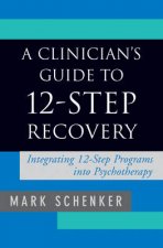 Clinicians Guide to 12Step Recovery