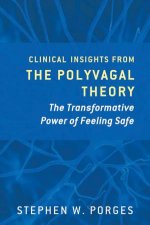Clinical Insights From The Polyvagal Theory