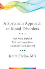 A Spectrum Approach To Mood Disorders Not Fully Bipolar But Not Unipolar Practical Management