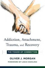 Addiction Attachment Trauma And Recovery The Power Of Connection