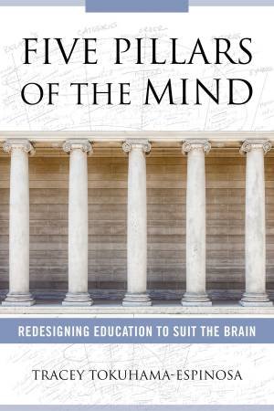 Five Pillars Of The Mind Redesigning Education To Suit The Brain