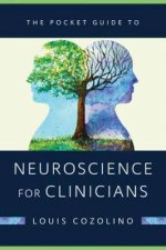 The Pocket Guide To Neuroscience For Clinicians Norton Series On Interpersonal Neurobiology
