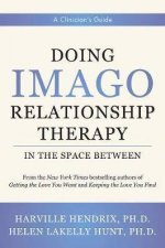 Doing Imago Relationship Therapy In The Space Between